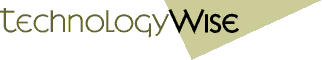technologywise logo